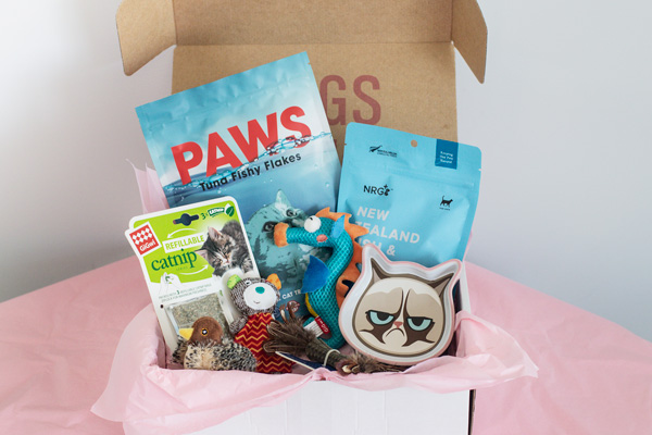 Feline Fun Box  ($64.95)