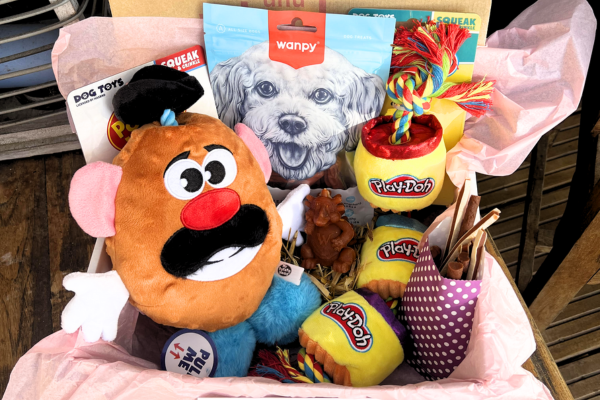 nz best monthly dog and pet gift box
