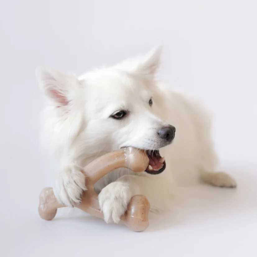 dog chewing benebone wishbone nz tough dog chew toy