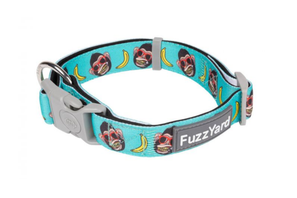fuzzyard nz dog gorilla monkey collar