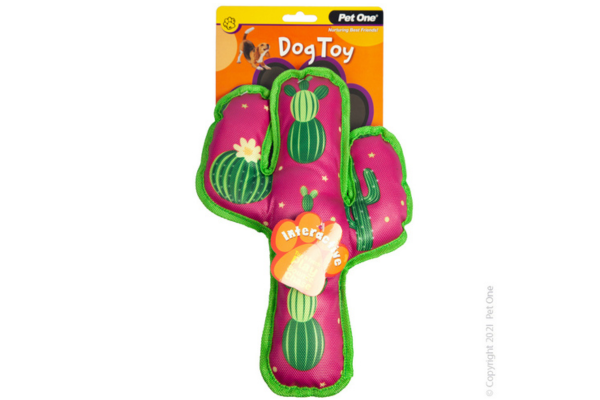 Cactus dog toy