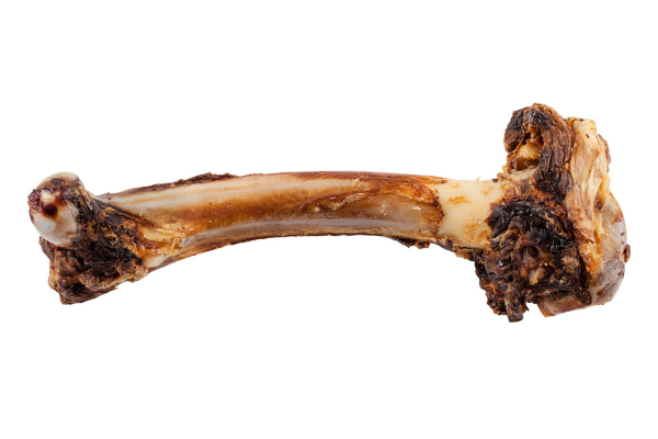 New Zealand lamb femur dog bone chew best in the country