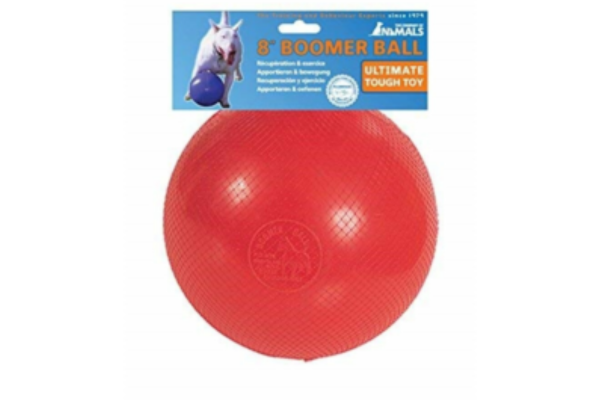 Non destructable dog soccer ball that wont pop nz chew toys