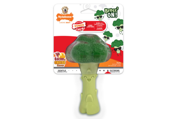 Nylabone power chewer broccoli chew toy dog
