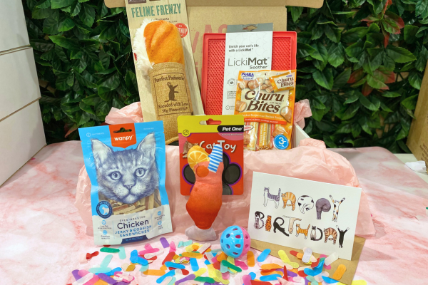 Luxury, fun, entertainment, plush cat and kitten birthday party gift box nz toys and treats special day