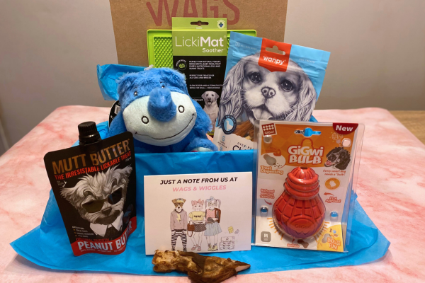 Get better feel better sick dog cheery up puppy toy and treat nz gift box to make their day with snuggly toys and nutritious treats