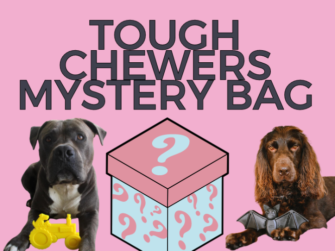 Tough chewers mystery bag gift box toys for destructive nz chewing chewers dog