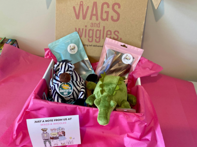 safari dog toys and treat monthly nz subscription box wags and wiggles