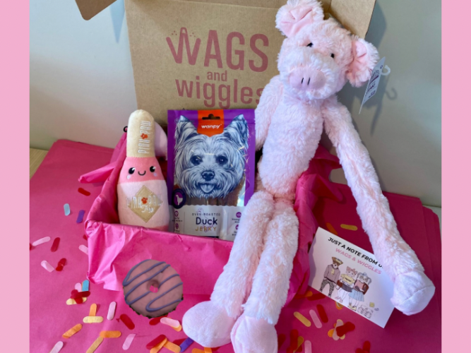 Nz dog monthly subscription box toy and treat valentines