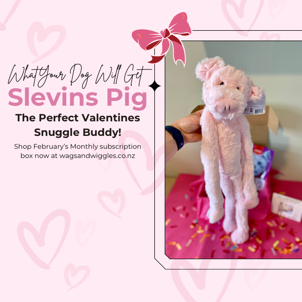 Smooches & Pooches Valentines Box Monthly Subscription Box - February 2025 - Image 2