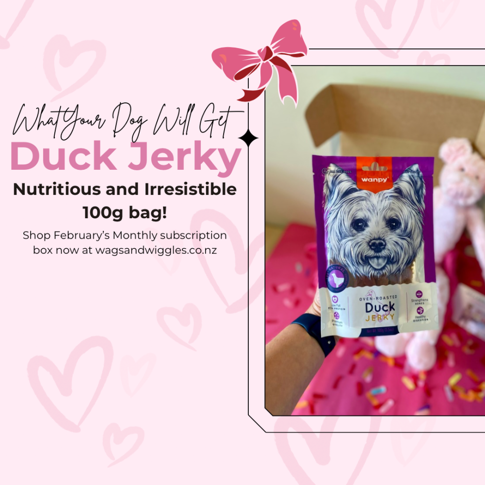 Smooches & Pooches Valentines Box Monthly Subscription Box - February 2025 - Image 3